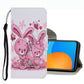 Coloured Drawing Pattern Leather Phone Case